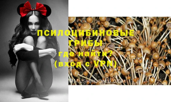 бутират Алексеевка