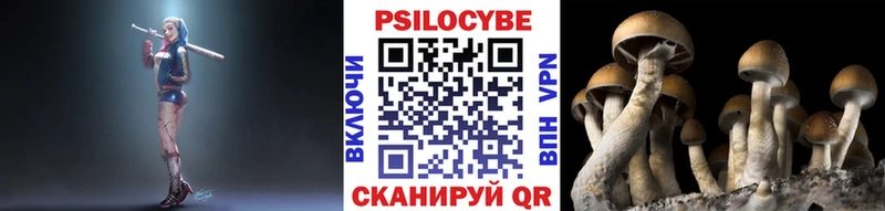 hydra tor  Талдом  Галлюциногенные грибы мицелий  купить наркоту 